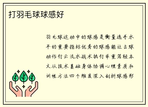 打羽毛球球感好
