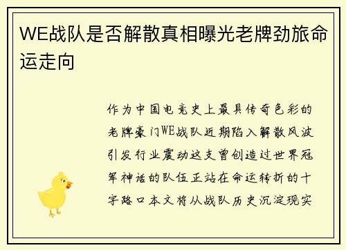 WE战队是否解散真相曝光老牌劲旅命运走向