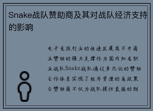 Snake战队赞助商及其对战队经济支持的影响