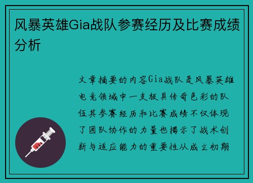 风暴英雄Gia战队参赛经历及比赛成绩分析
